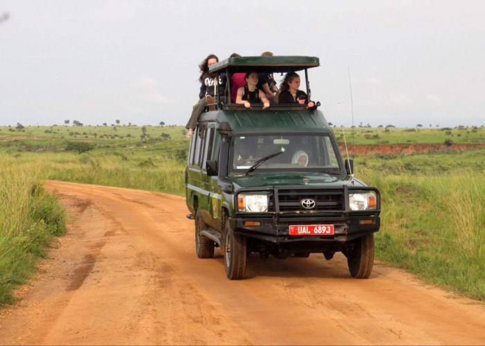 Services 2 floras and fauna safari vehicle hire