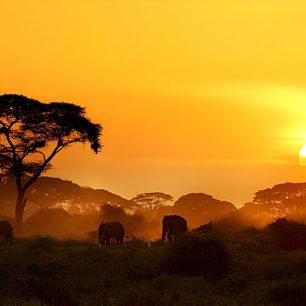Kenya