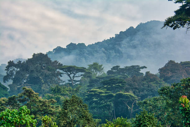 uganda (3)